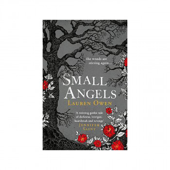 Small Angels : 'A twisting gothic tale of darkness, intrigue, heartbreak and rev 