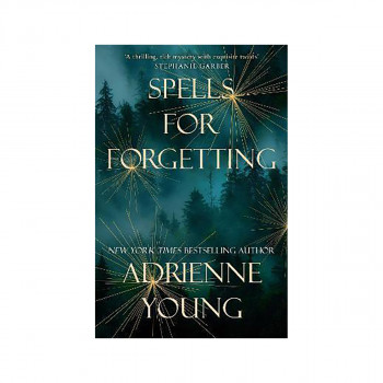 Spells for Forgetting : the magical and compelling mystery perfect for winter ni 