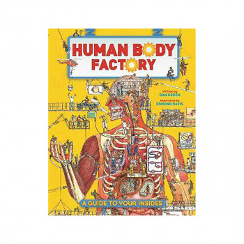 The Human Body Factory : A Guide To Your Insides 
