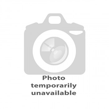 Yeti and Firends! Junior B Flashcards 