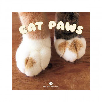 Cat Paws 