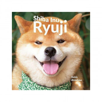 Shiba Inu Ryuji 