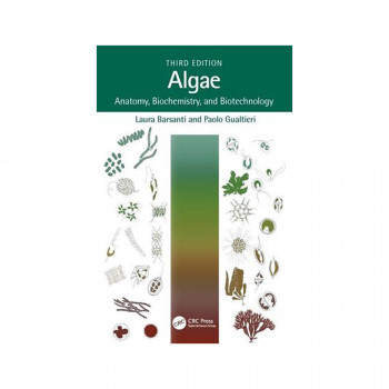 Algae 
