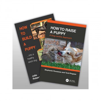 How to Raise a Healthy, Happy Dog 