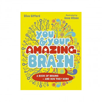 You & Your Amazing Brain 