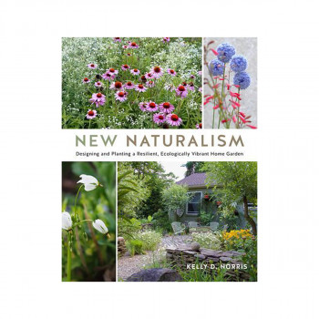 New Naturalism 