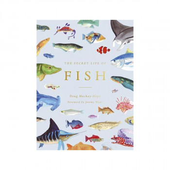 The Secret Life of Fish 