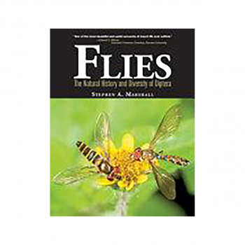 Flies 