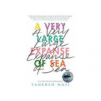 A Very Large Expanse of Sea 