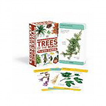 Our World in Pictures Trees of the World Flash Cards 