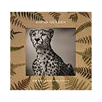 David Gulden: Nor Dread Nor Hope Attend 