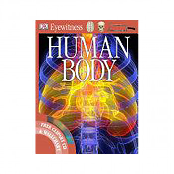 Human Body 