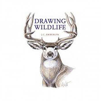 Drawing Wildlife 
