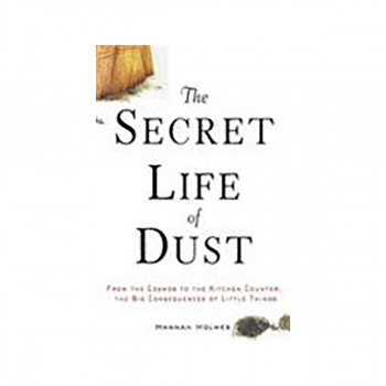 The Secret Life of Dust 