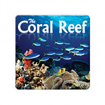 CORAL REEF 