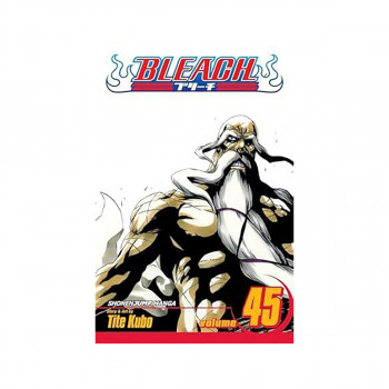 Bleach, Vol. 45 