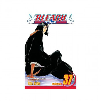 Bleach, Vol. 37 