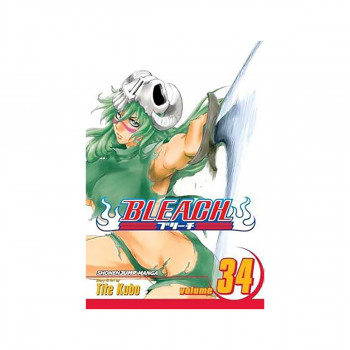 Bleach, Vol. 34 