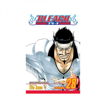 Bleach, Vol. 28 