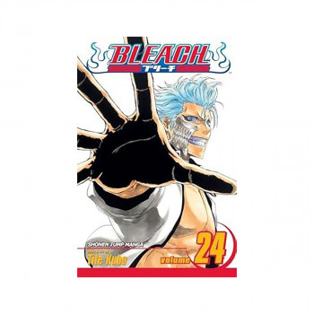 Bleach, Vol. 24 
