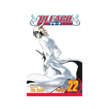 Bleach, Vol. 22 