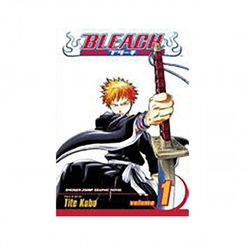 Bleach, Vol. 1 
