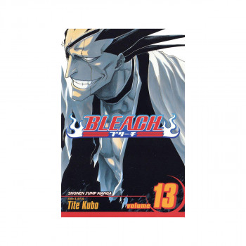 Bleach, Vol. 13 