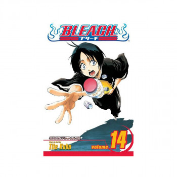 Bleach, Vol. 14 