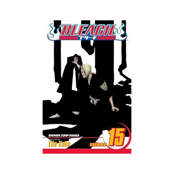 Bleach, Vol. 15 