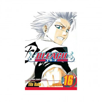 Bleach, Vol. 16 