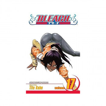 Bleach, Vol. 17 