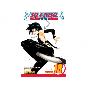 Bleach, Vol. 18 