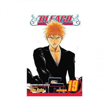 Bleach, Vol. 19 
