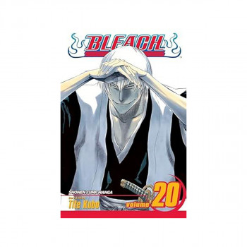 Bleach, Vol. 20 