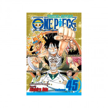 One Piece, Vol. 45 