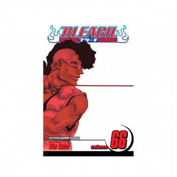 Bleach, Vol. 66 
