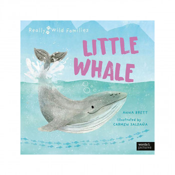 Little Whale 