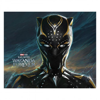 Marvel Studios' Black Panther: Wakanda Forever - the Art of the Movie 
