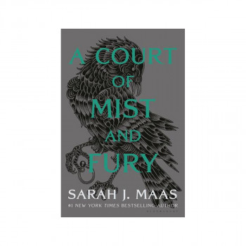 A Court of Mist and Fury 