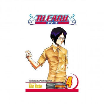Bleach, Vol. 4 