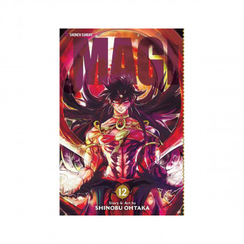 Magi: The Labyrinth of Magic, Vol. 12 : The Labyrinth of Magic 