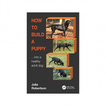 How to Build a Puppy Into a Healthy Adult Dog 