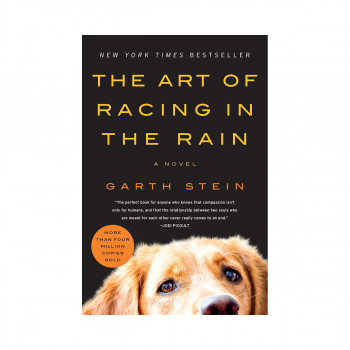 The Art of Racing in the Rain 