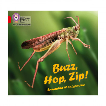 Buzz, Hop, Zip! 