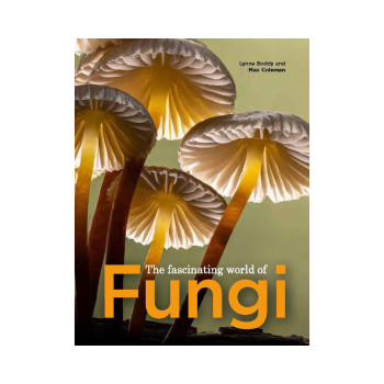The Fascinating World of Fungi 