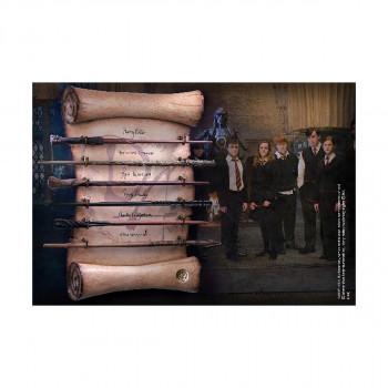 Сет стапчиња + дисплеј, Harry Potter - Dumbledore's Army Wand Collection 