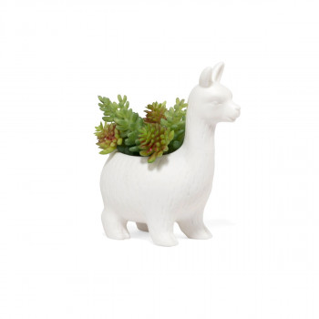 Керамичка саксија, Lloyd the Llama 