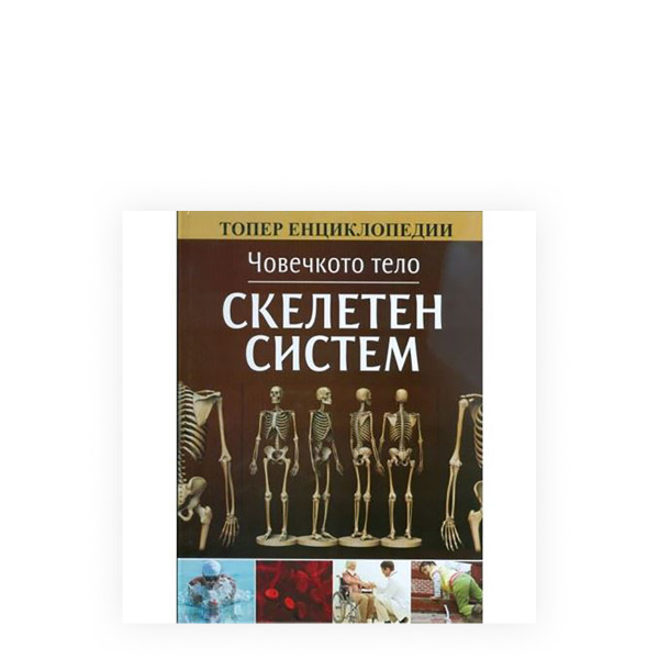 Човечкото тело: Скелетен систем 