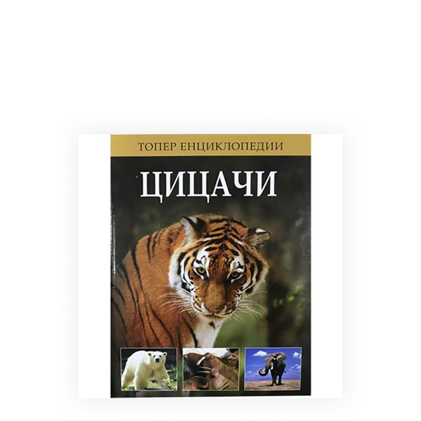 Цицачи 
