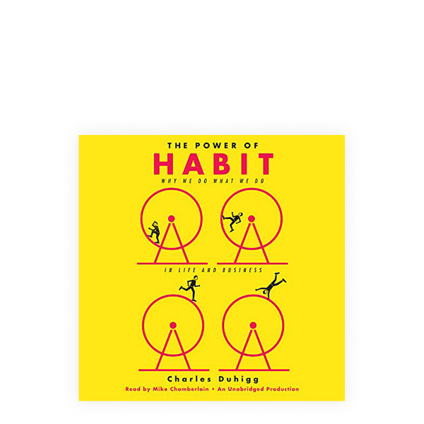 The Power of Habit: Why We Do What We Do in Life and Business 